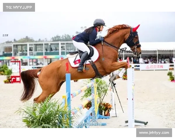 国际马联世界挑战赛